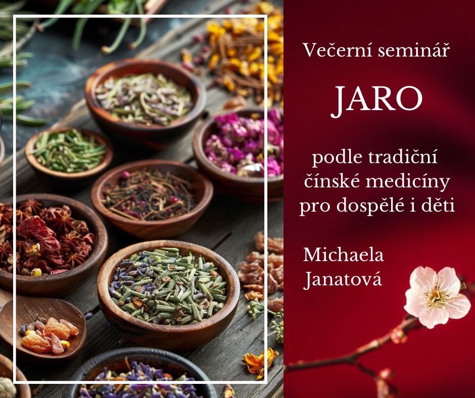 TČM seminář Atelier Spiritualita